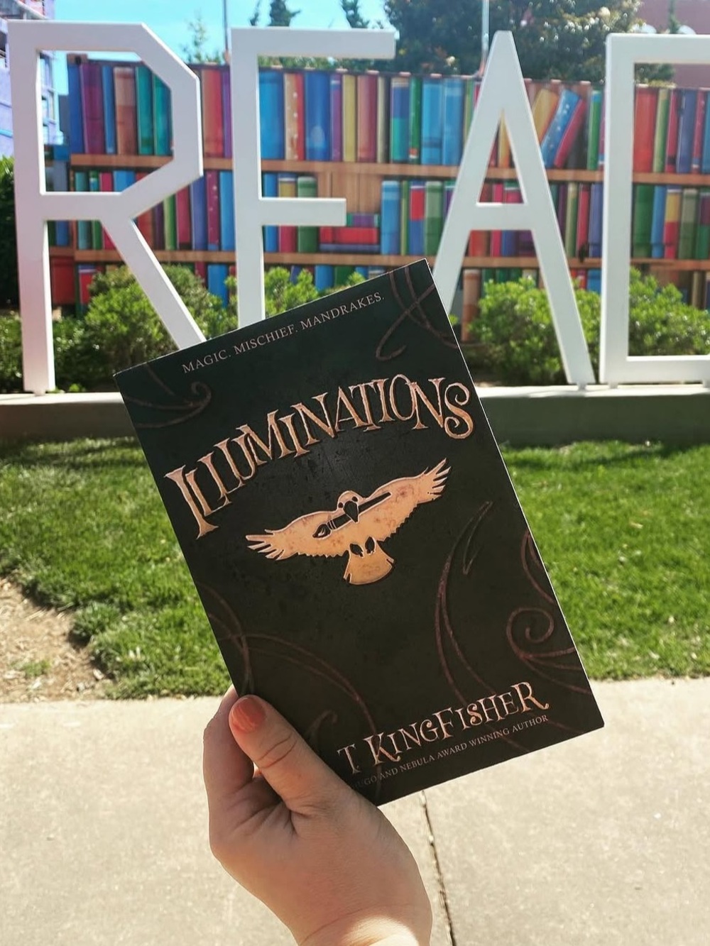 Illuminations T Kingfisher Paperback Fantasy Novel Magic Mischief Mandrakes